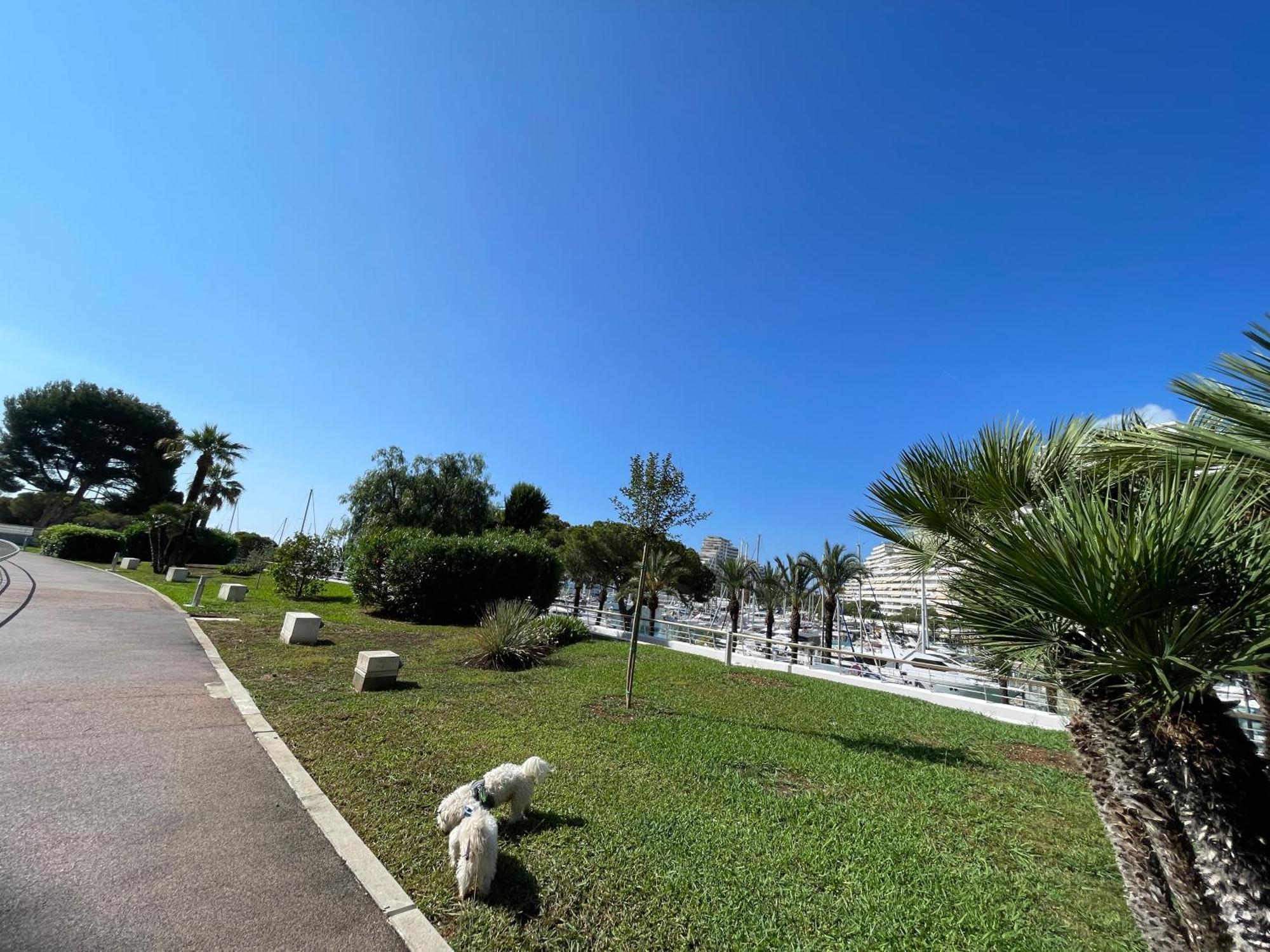 Studio A 2 Pas De La Plage Villeneuve-Loubet Zewnętrze zdjęcie